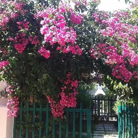 Holiday home La Rosa Villasimius